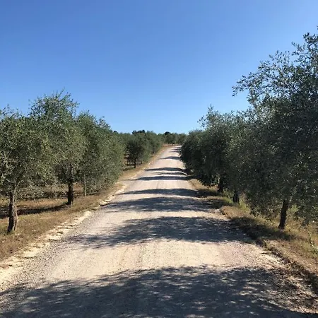Podere La Casa Villa d'Arceno