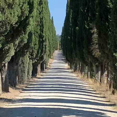 Podere La Casa Country house Villa d'Arceno