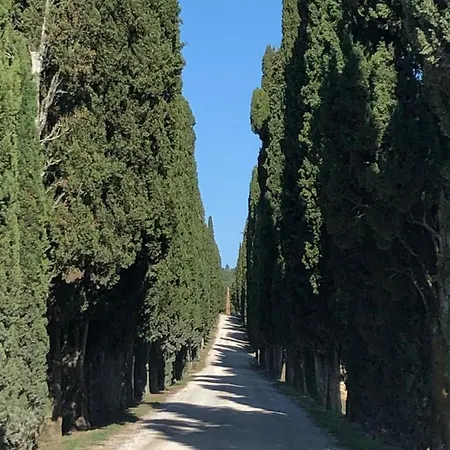 Podere La Casa Country house Villa d'Arceno